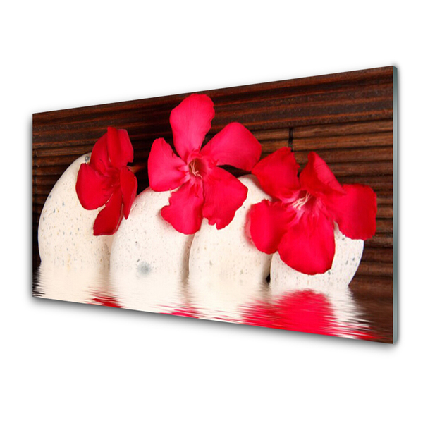 Obraz Akrylowy Czerwony Kwiaty Kamienie