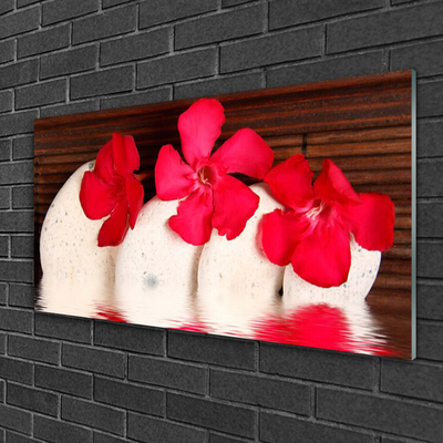 Obraz Akrylowy Czerwony Kwiaty Kamienie
