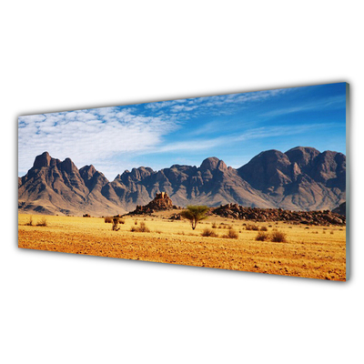 Obraz Akrylowy Pustynia Góry Krajobraz