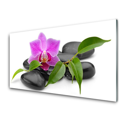 Obraz Akrylowy Kwiat Orchidea Sztuka