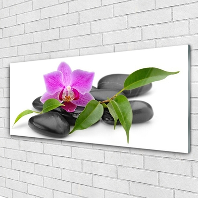 Obraz Akrylowy Kwiat Orchidea Sztuka