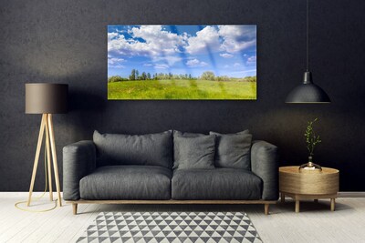 Obraz Akrylowy Łąka Trawa Niebo Krajobraz