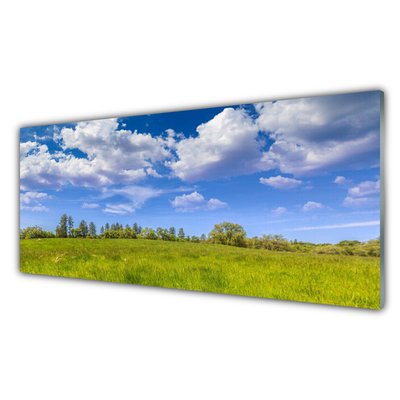 Obraz Akrylowy Łąka Trawa Niebo Krajobraz