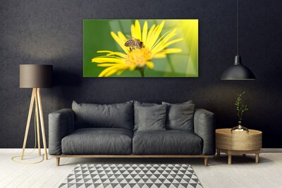 Obraz Akrylowy Pszczoła Kwiat Przyroda