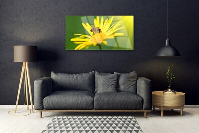 Obraz Akrylowy Pszczoła Kwiat Przyroda