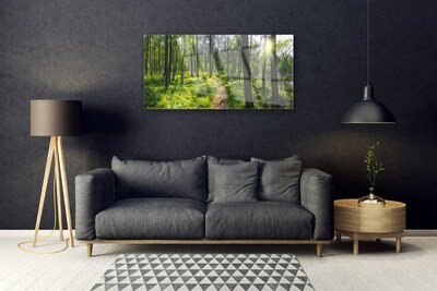 Obraz Akrylowy Las Ścieżka Dróżka Przyroda