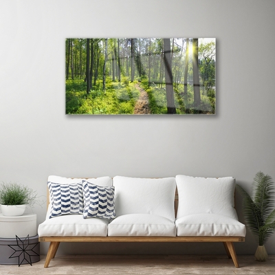 Obraz Akrylowy Las Ścieżka Dróżka Przyroda