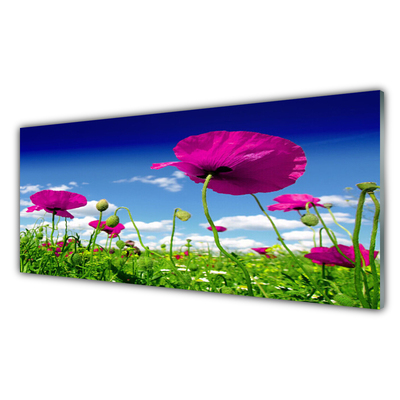 Obraz Akrylowy Łąka Kwiaty Niebo Przyroda
