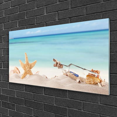 Obraz Akrylowy Rozgwiazda Muszle Plaża