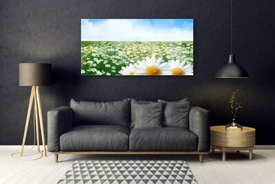 Obraz Akrylowy Stokrotki Kwiaty Łąka Pole