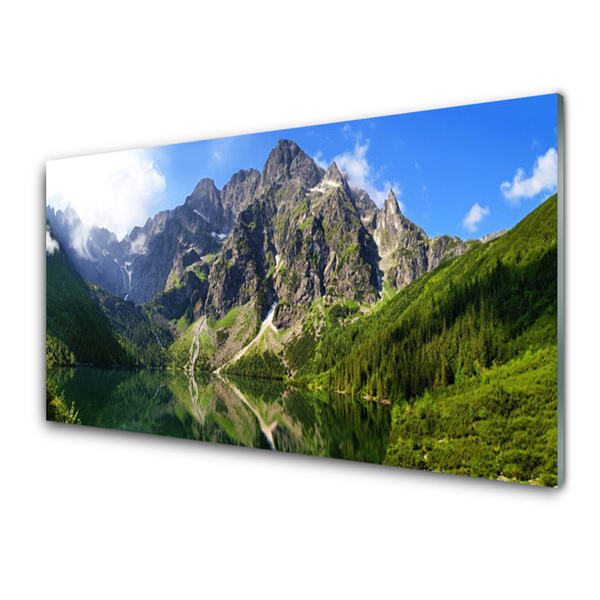 Obraz Akrylowy Tatry Góry Morskie Oko Las
