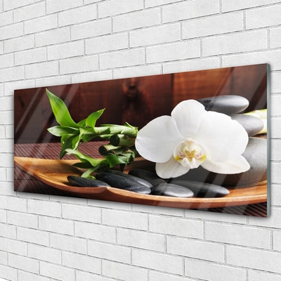 Obraz Akrylowy Bambus Zen Biały Storczyk