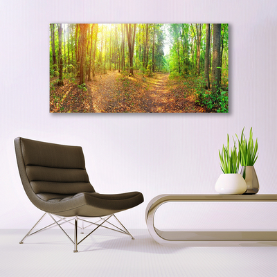 Obraz Akrylowy Słońce Natura Ścieżka Leśna