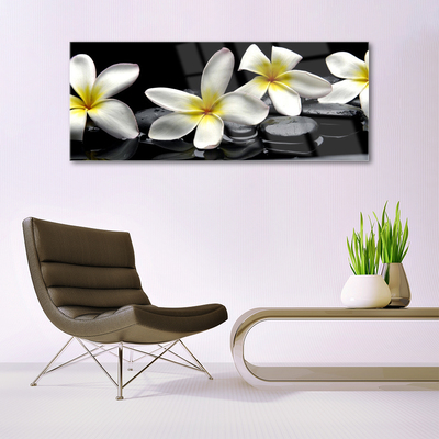 Obraz Akrylowy Piękny Kwiat Plumeria