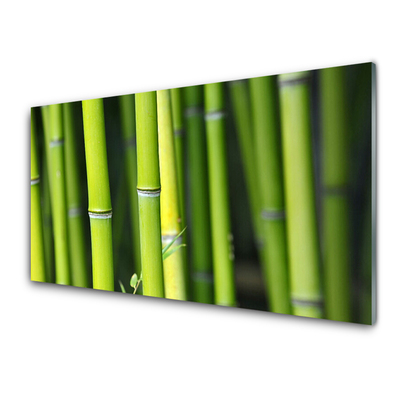 Panel Kuchenny Bambus Natura Roślina