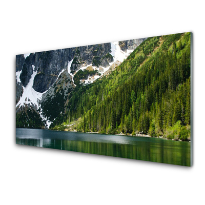 Panel Szklany Jezioro Las Góry Krajobraz