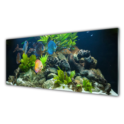 Panel Szklany Ryba Akwarium Natura