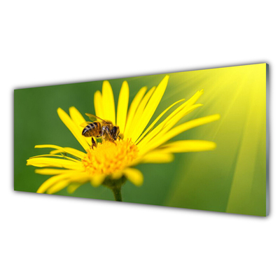 Panel Szklany Pszczoła Kwiat Przyroda