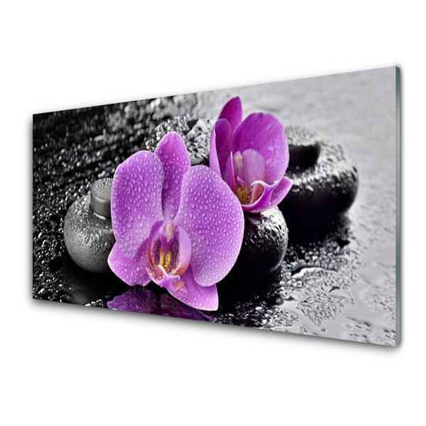 Panel Szklany Storczyk Kwiaty Orchidea Spa