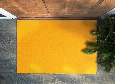 Wycieraczka pod drzwi Soczysta pomarańcza