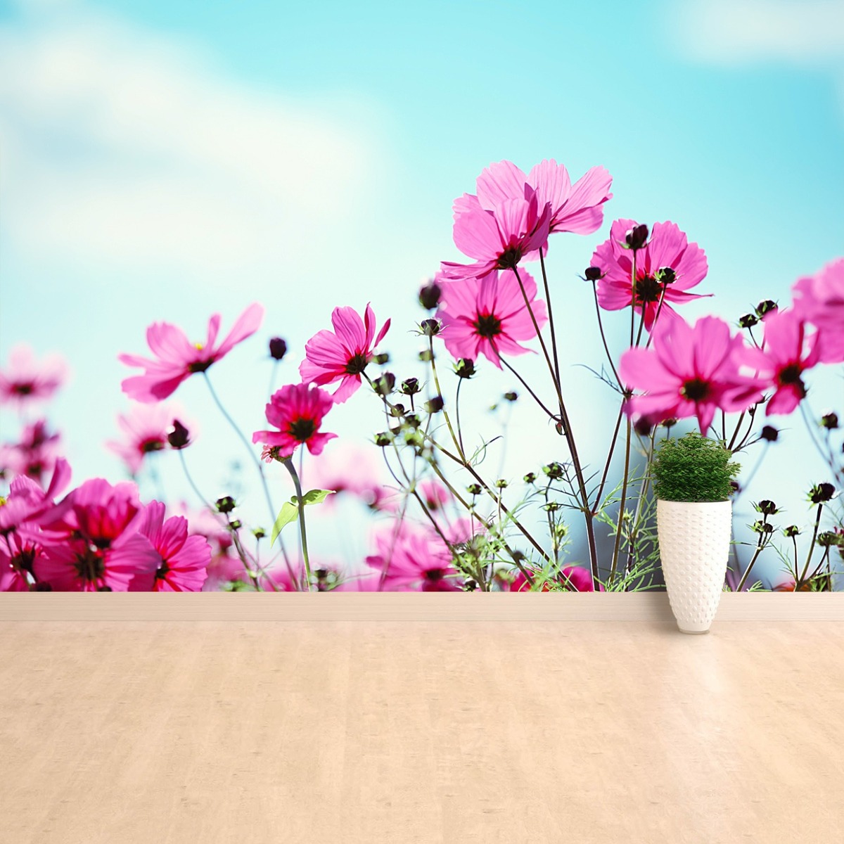 fototapeta samoprzylepna różowe kwiaty